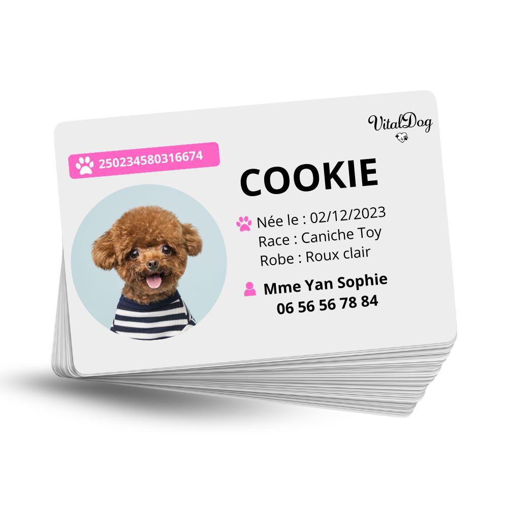 La VITALDOG & VITALCAT NFC d’Identification Personnalisée