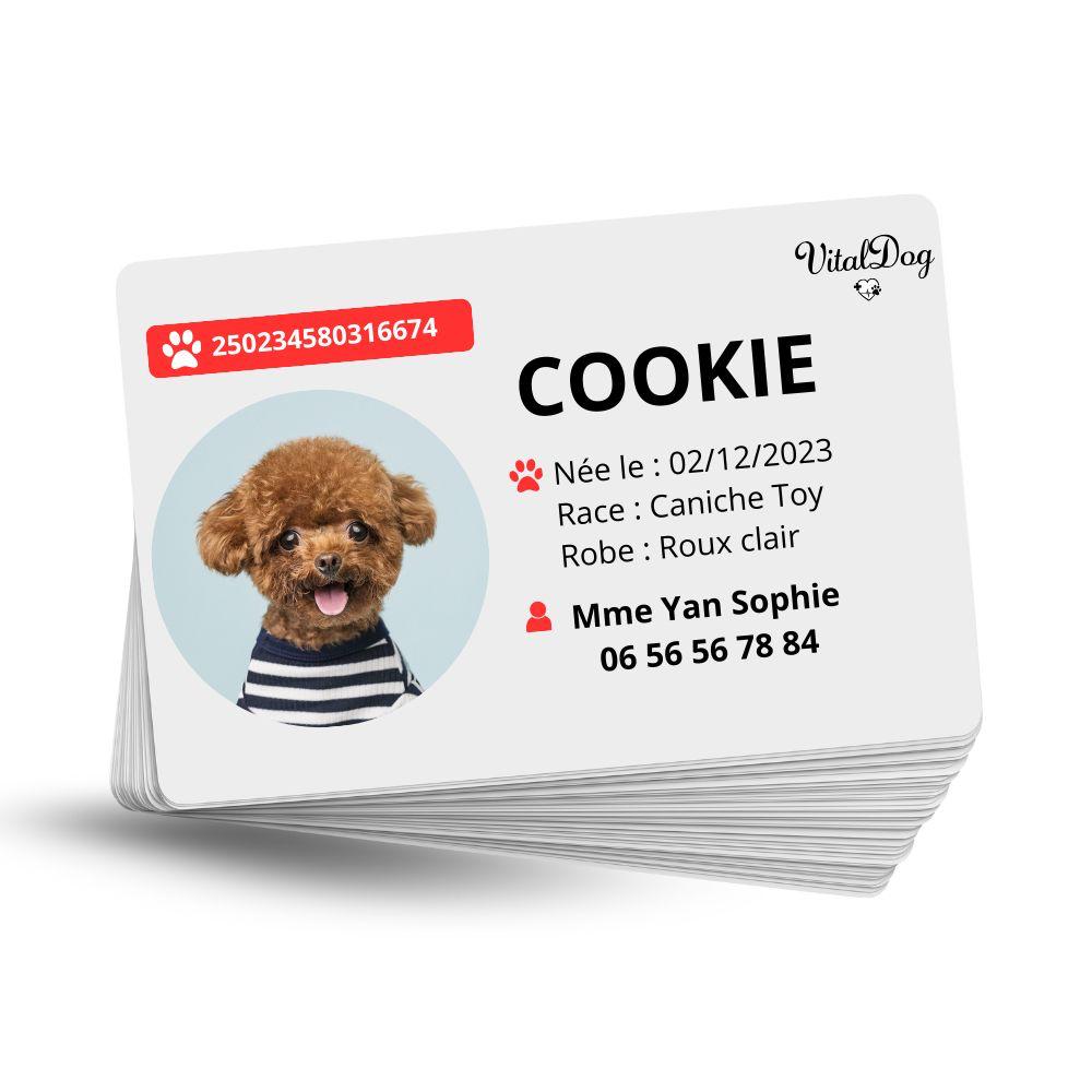 La VITALDOG & VITALCAT NFC d’Identification Personnalisée