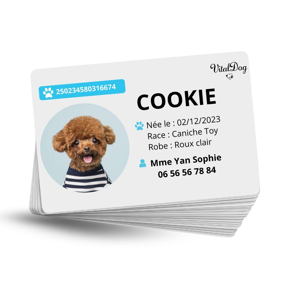 La VITALDOG & VITALCAT NFC d’Identification Personnalisée