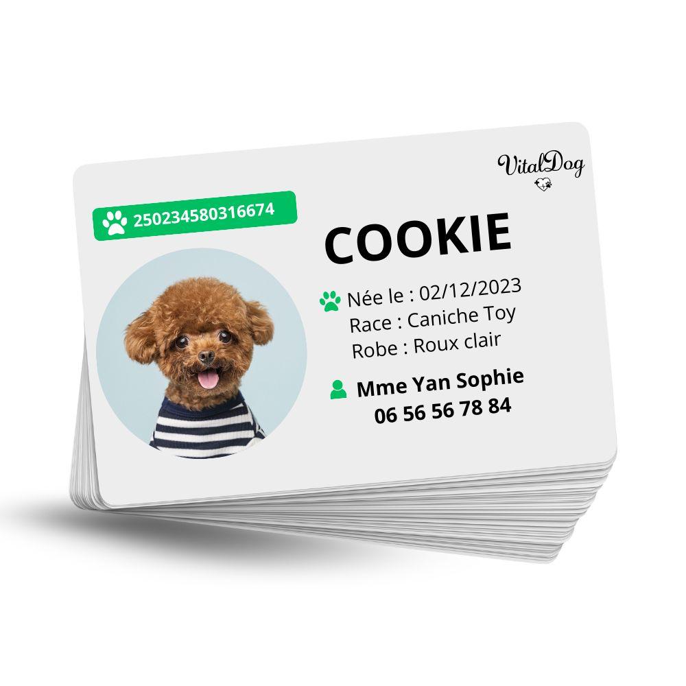 La VITALDOG & VITALCAT NFC d’Identification Personnalisée