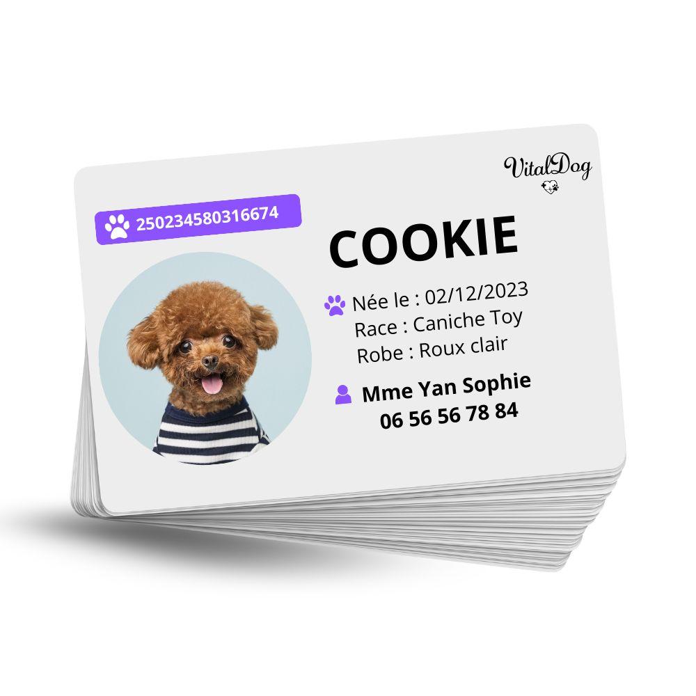 La VITALDOG & VITALCAT NFC d’Identification Personnalisée