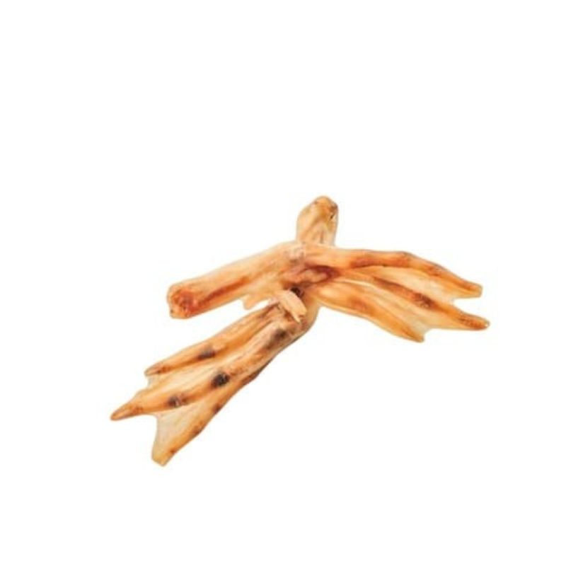Pattes de canard
