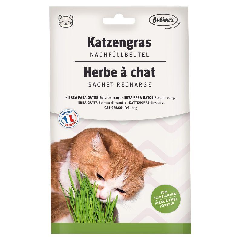 Recharge herbe a chat