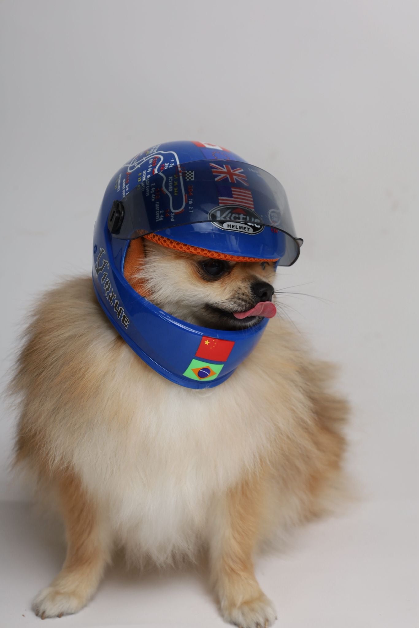 Formule studio découverte
