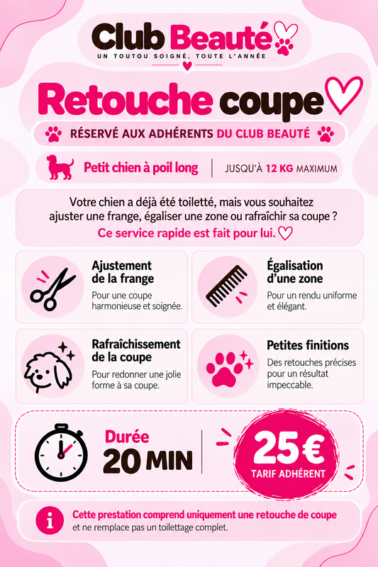 Retouche coupe - Club beauté petit chien