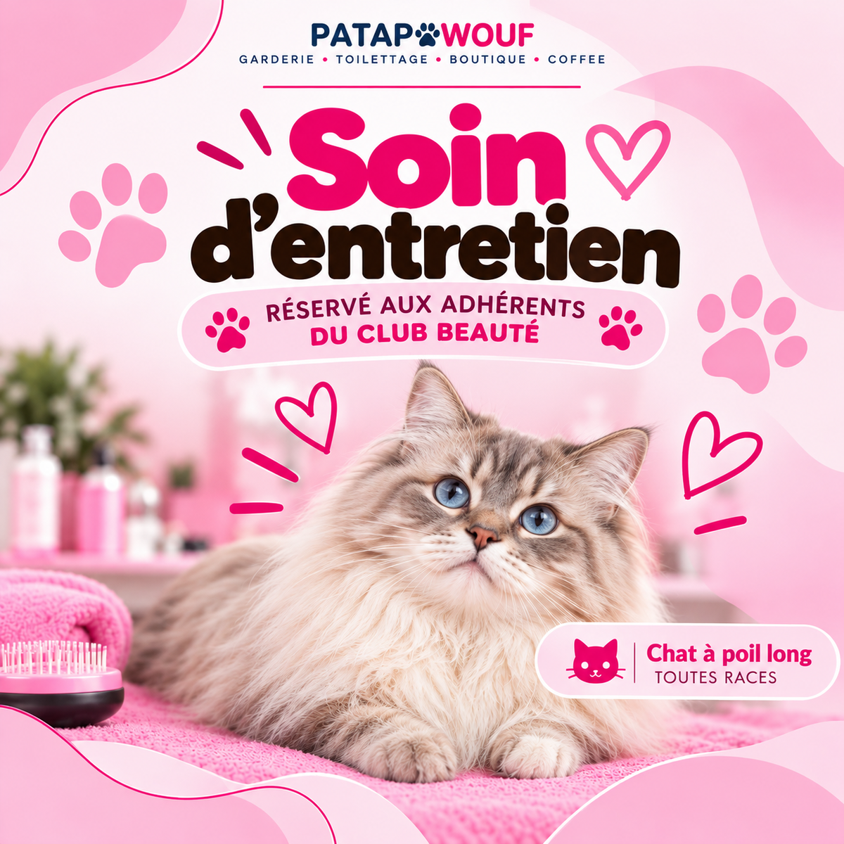 Soin d'entretien - Club beauté chat poil long