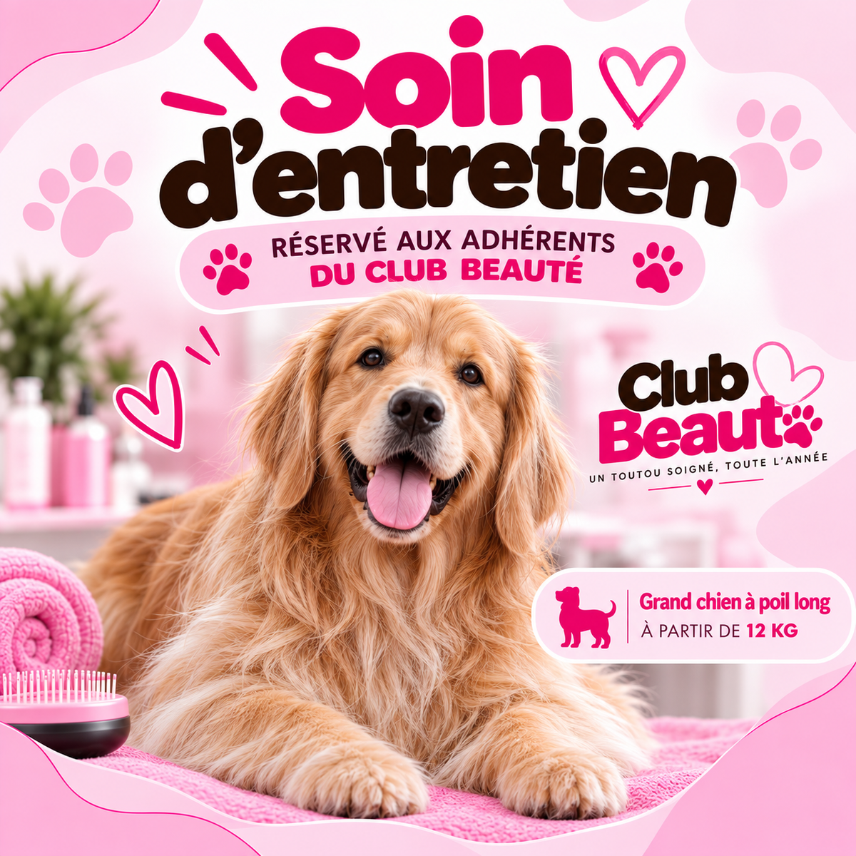Soin d'entretien - Club beauté grand chien