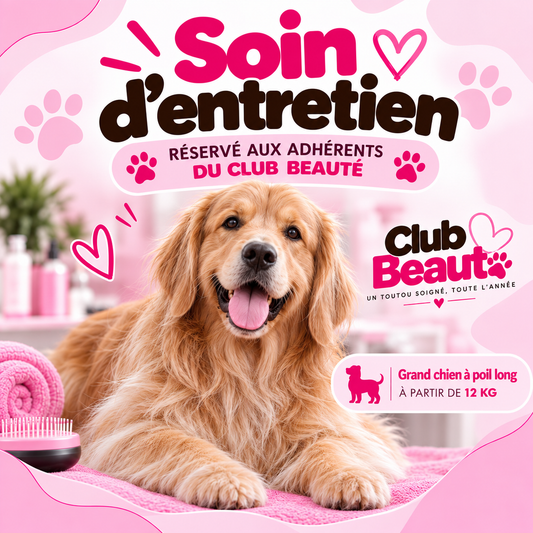 Soin d'entretien - Club beauté grand chien