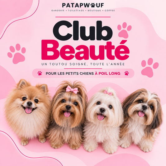 Club beauté