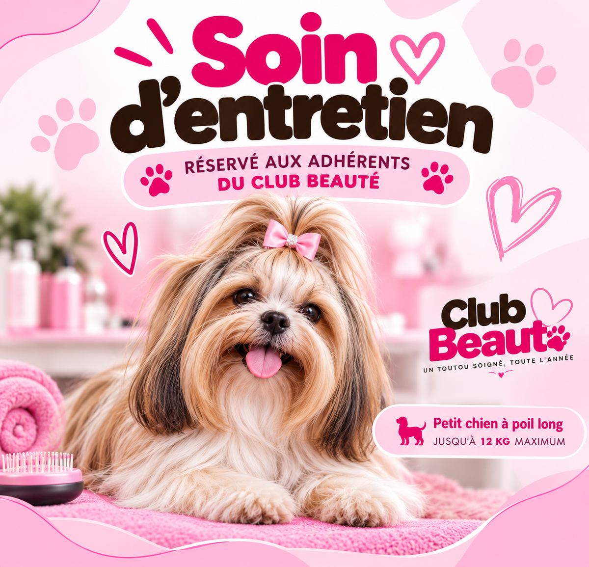 Soin d'entretien - Club beauté petit chien