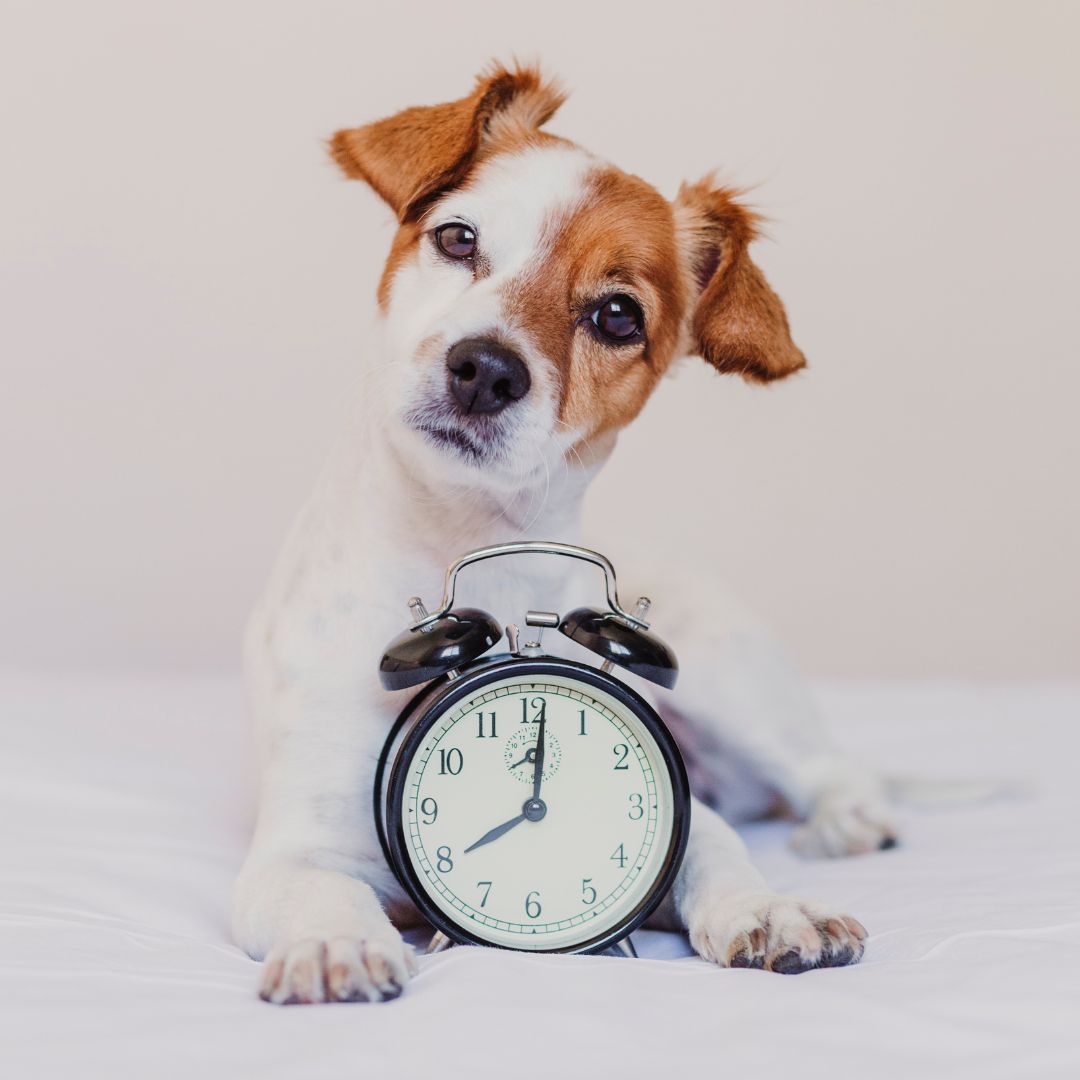 Garderie – Heure supplémentaire (hors heures d’ouverture)