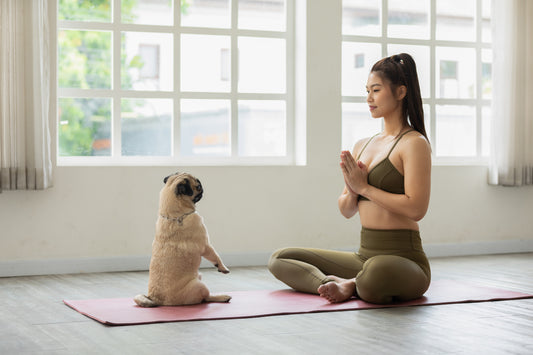 Yoga vous et votre chien