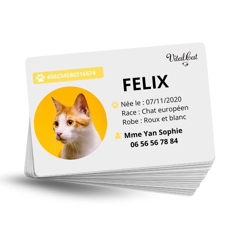 La VITALDOG & VITALCAT NFC d’Identification Personnalisée