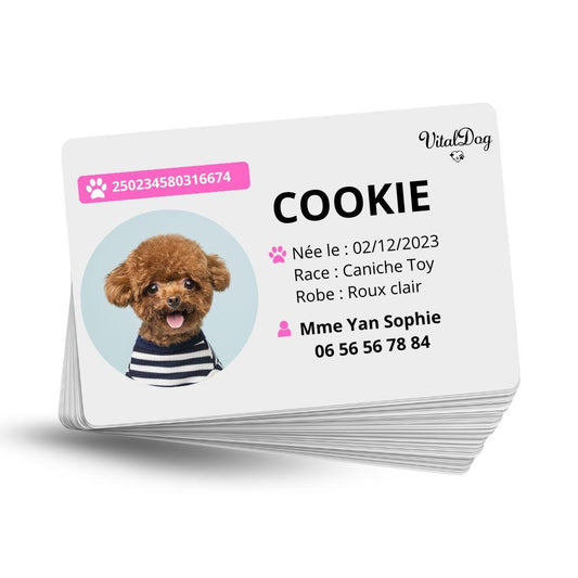 La VITALDOG & VITALCAT NFC d’Identification Personnalisée