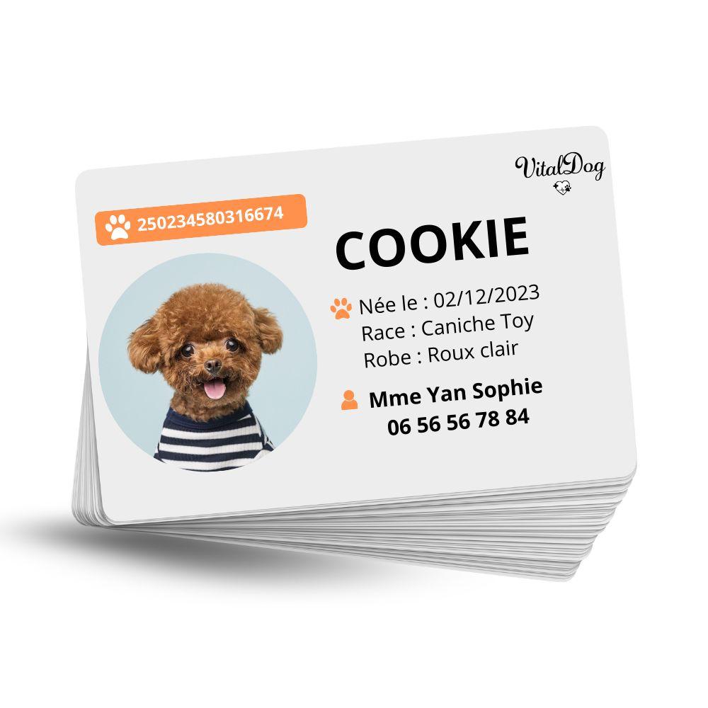 La VITALDOG & VITALCAT NFC d’Identification Personnalisée