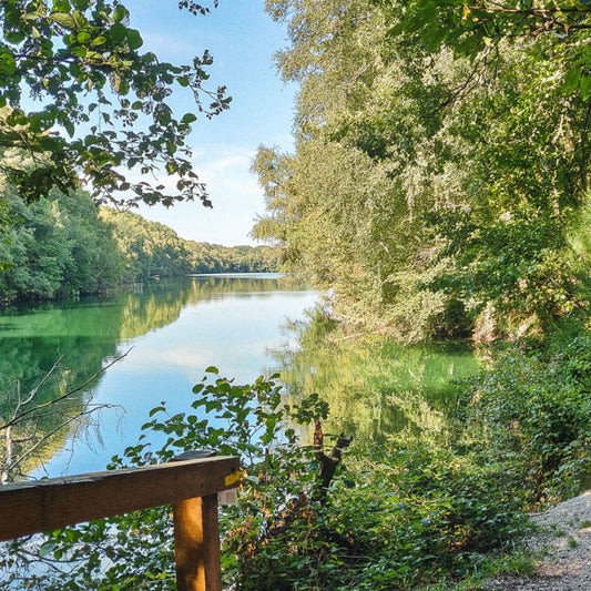 Balade en forêt de L'Isle Adam