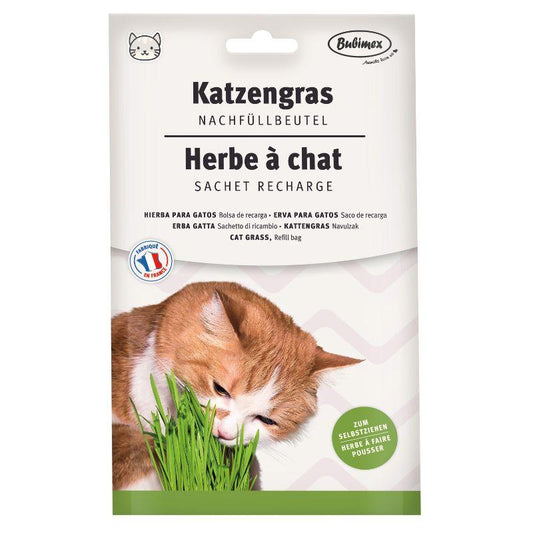 Recharge herbe a chat