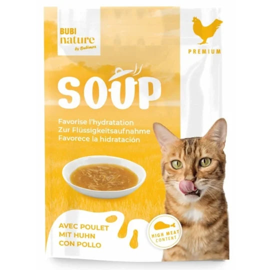 Soupe au poulet