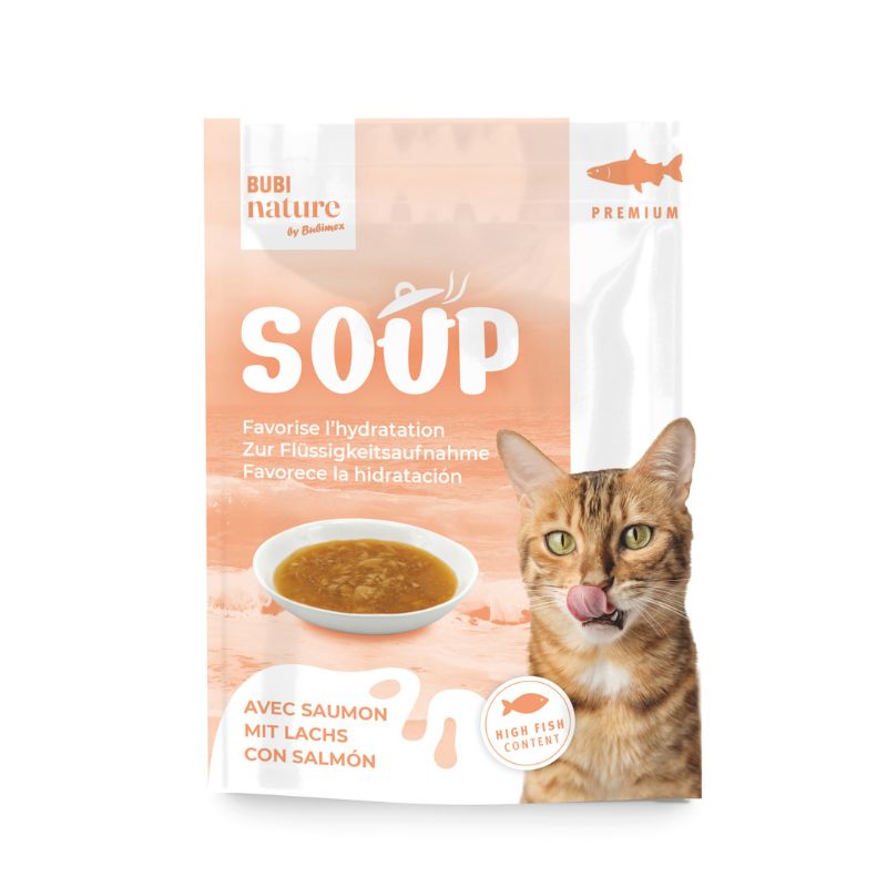 Soupe au saumon