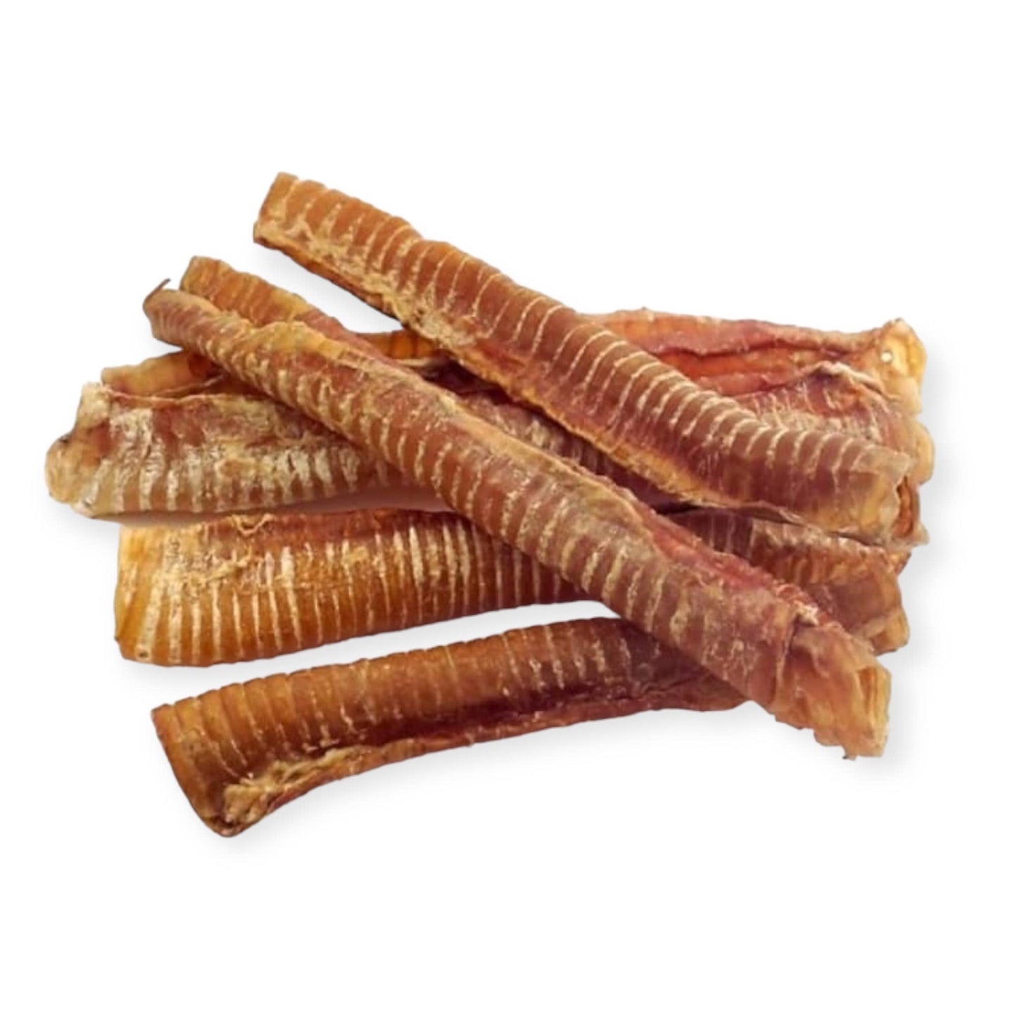Trachee de boeuf 15cm